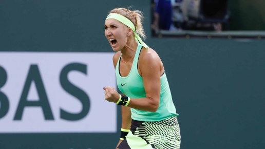 iw-thu2-vesnina
