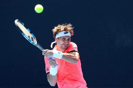 David+Ferrer+2017+Australian+Open+Day+4+t4xg4X_L-Agl