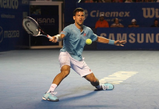 APTOPIX_Acapulco_Tennis_27519