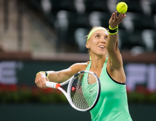 Vesnina-IW17-R4a-J48TP-1024x795