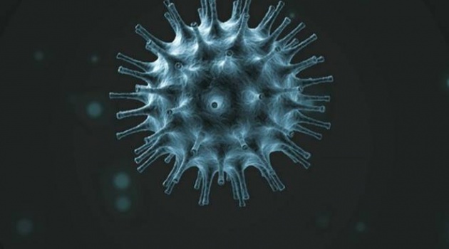 SỐC! Phát hiện chủng virus mới đáng sợ hơn COVID-19, thế giới nguy cơ 'toang' toàn tập