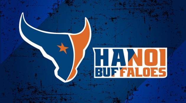 Hanoi Buffaloes chính thức có chủ sở hữu mới