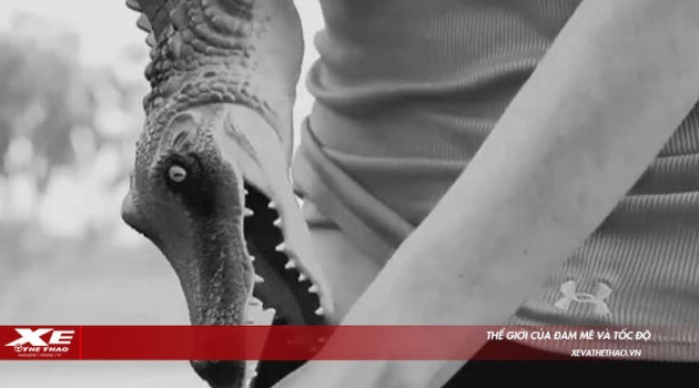 Chuyện khó đỡ: phụ nữ móc ra một con cá sấu con… từ quần yoga khi bị cảnh sát chặn xe trên đường