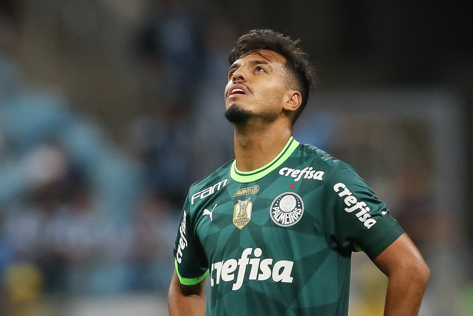 gremio-v-palmeiras-brasileirao-2023-1536x1026-0442