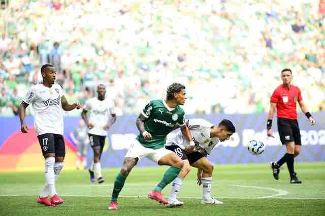 palmeiras-v-botafogo-riva