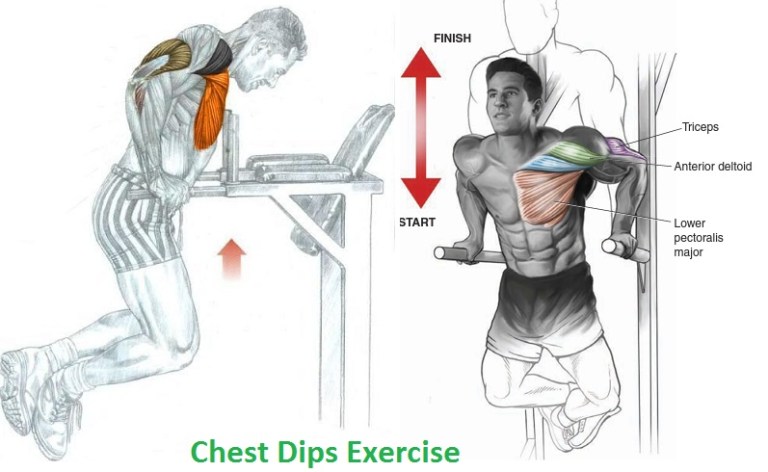 Chest-Dips-Exercise