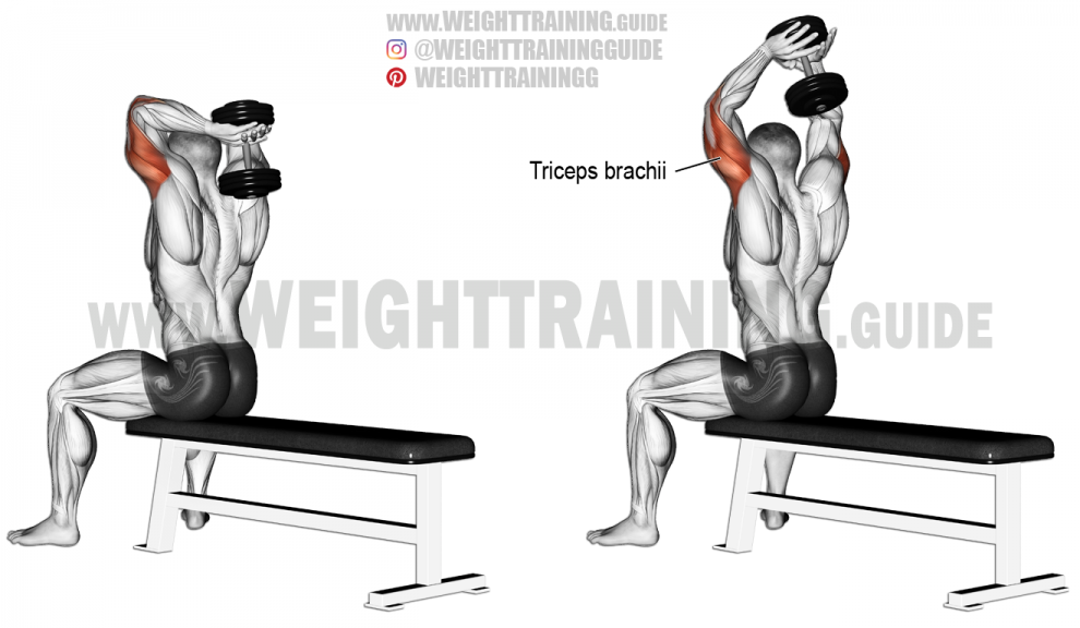 seated-dumbbell-overhead-triceps-extension-990x576