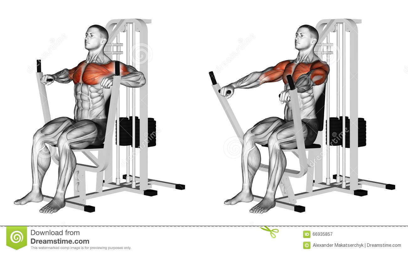 exercising-seated-chests-press-bodybuilding-target-muscles-marked-red-66935857