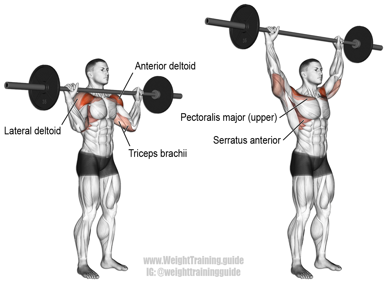barbell-military-press