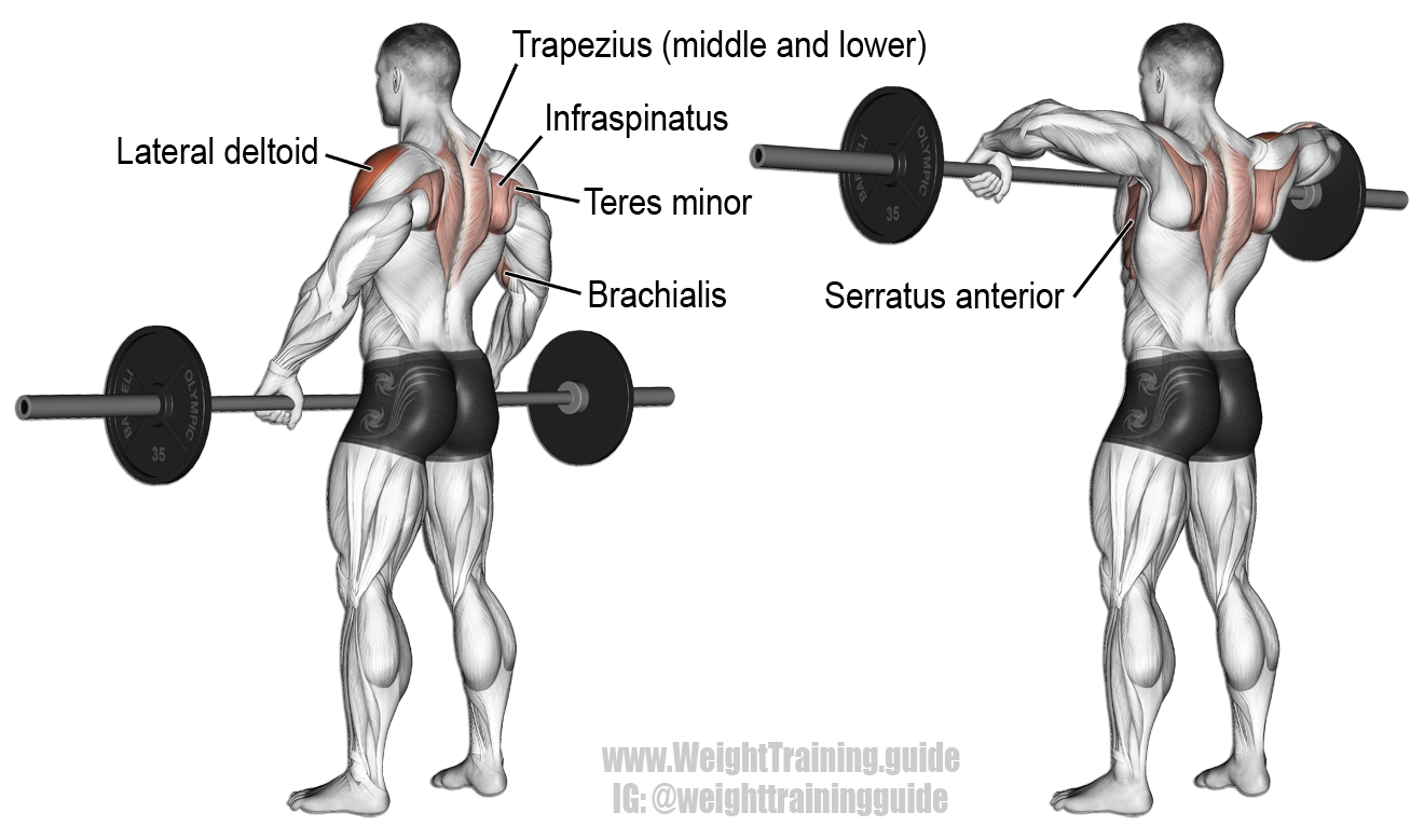 Barbell-Wide-Grip-Upright-Row