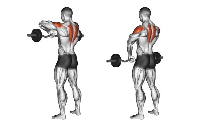 upright-barbell-row