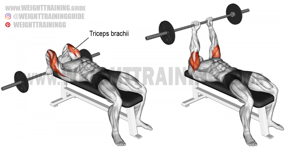 lying-barbell-triceps-extension-990x527