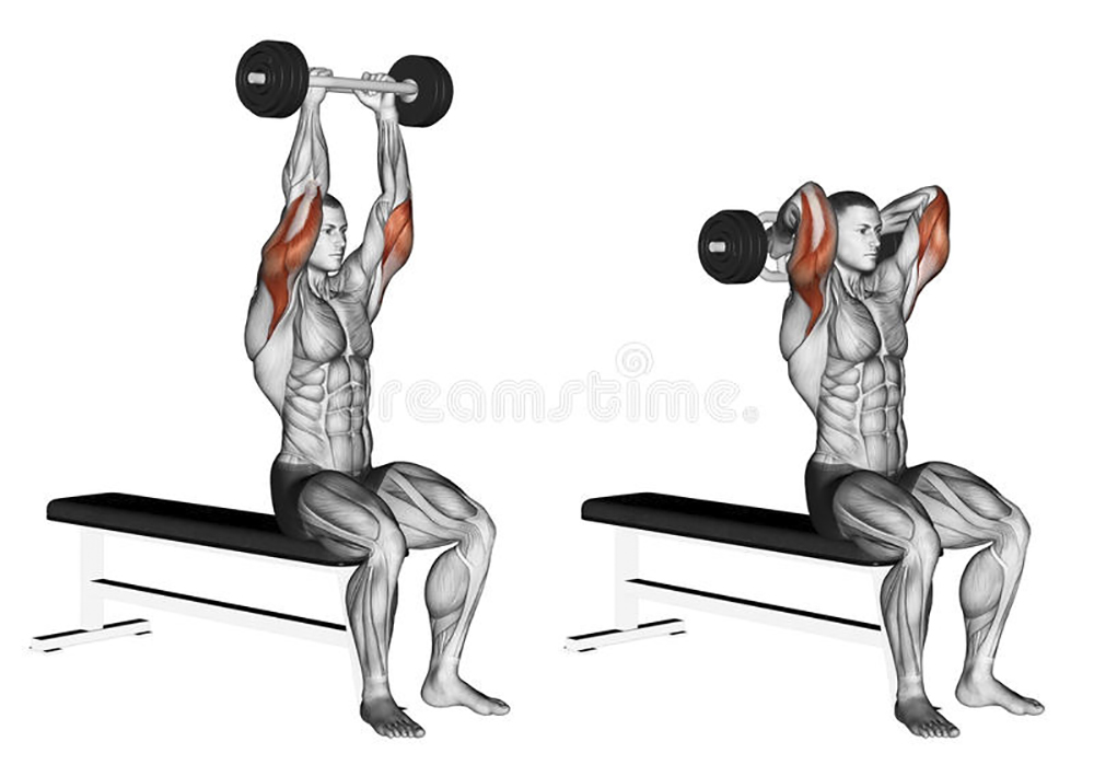 exercising-olympic-tricep-bar-extension-bodybuilding-target-muscles-marked-red-initial-final-steps-67156241