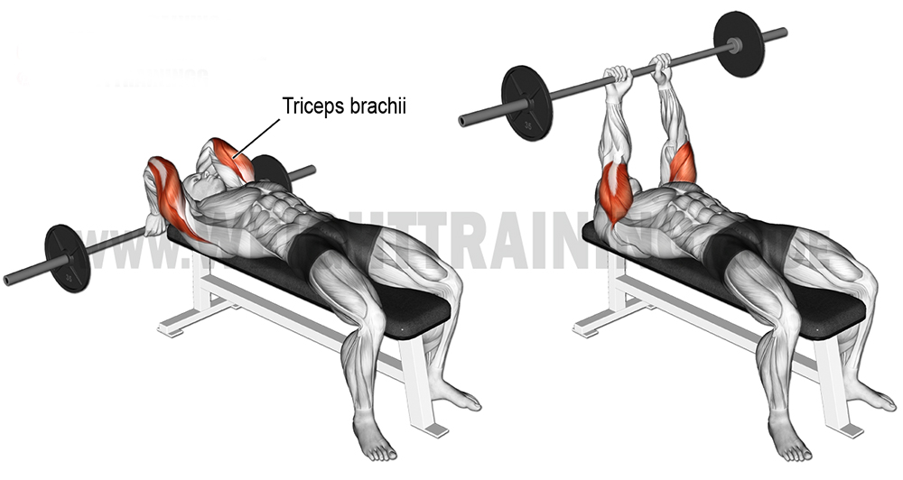 lying-barbell-triceps-extension
