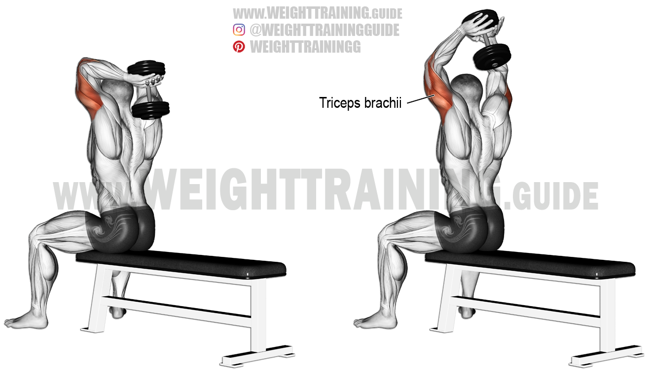 seated-dumbbell-overhead-triceps-extension