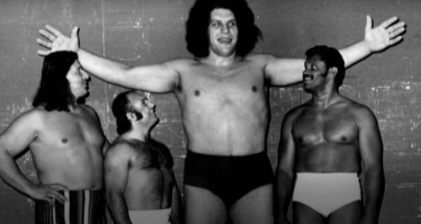 Andre the Giant 1