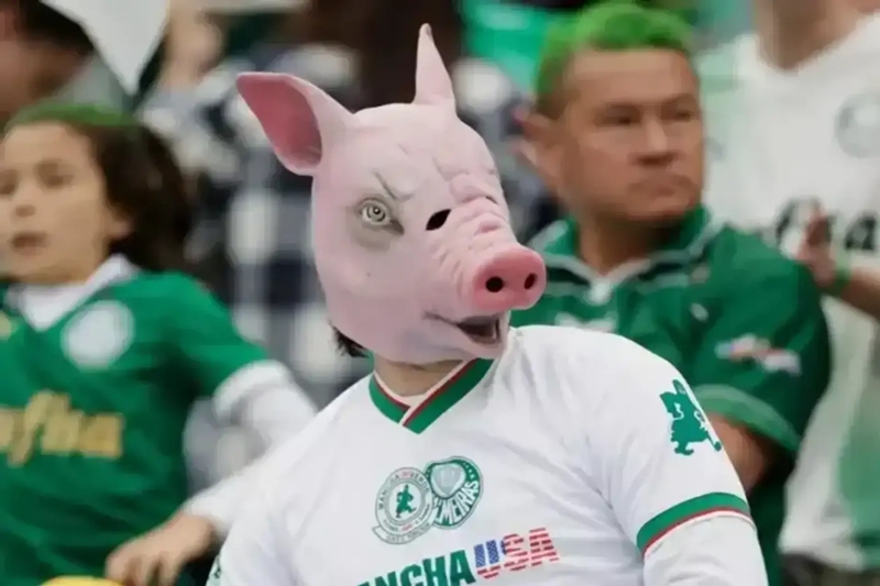 Palmeiras fan 02