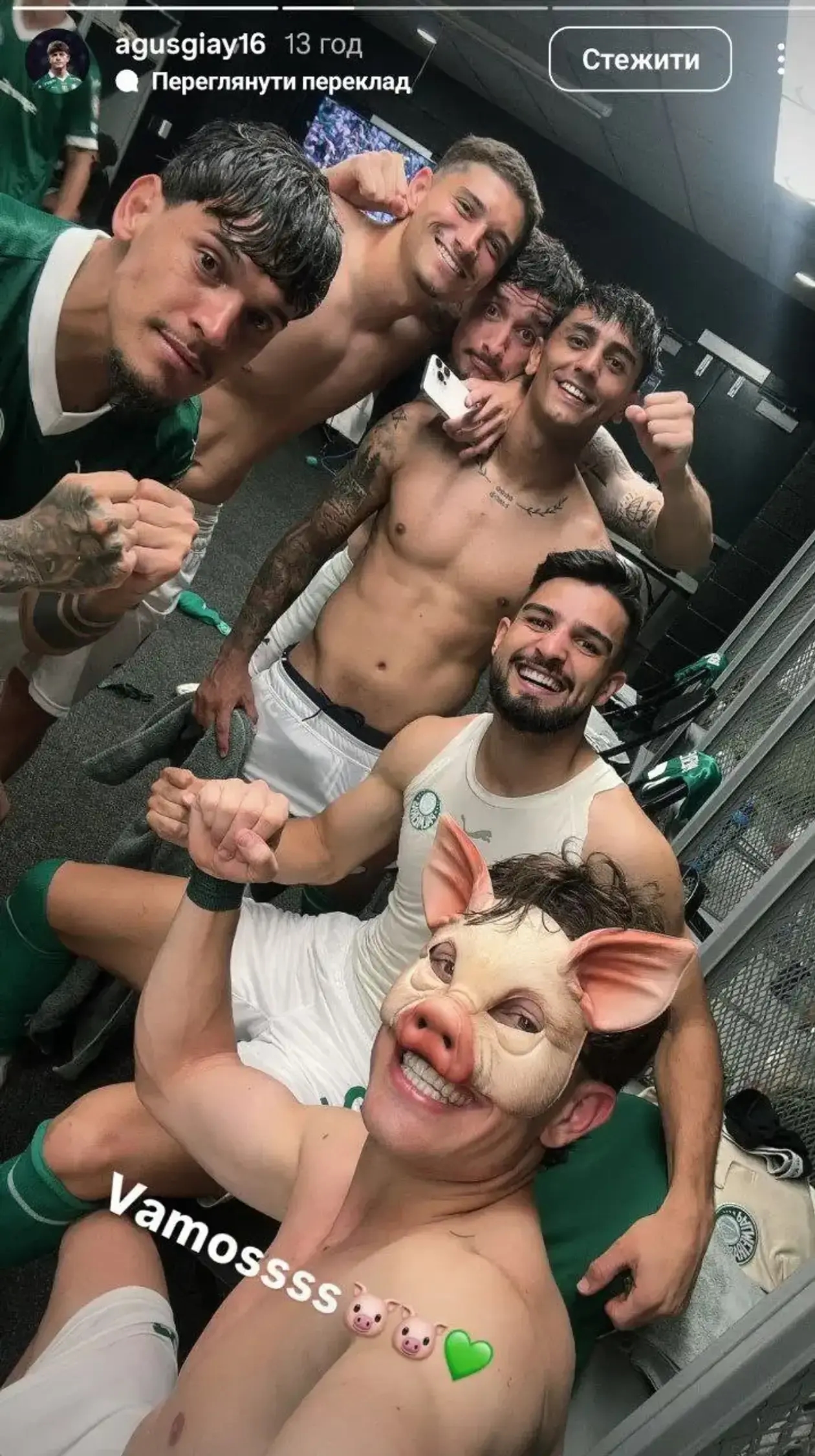 Palmeiras fan 03
