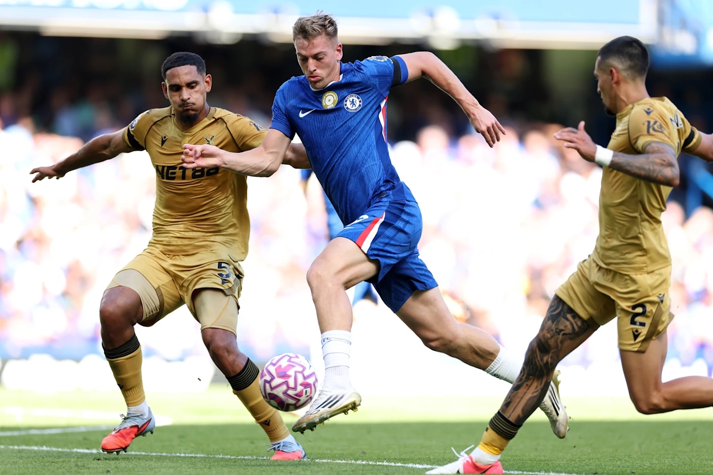Chelsea 08