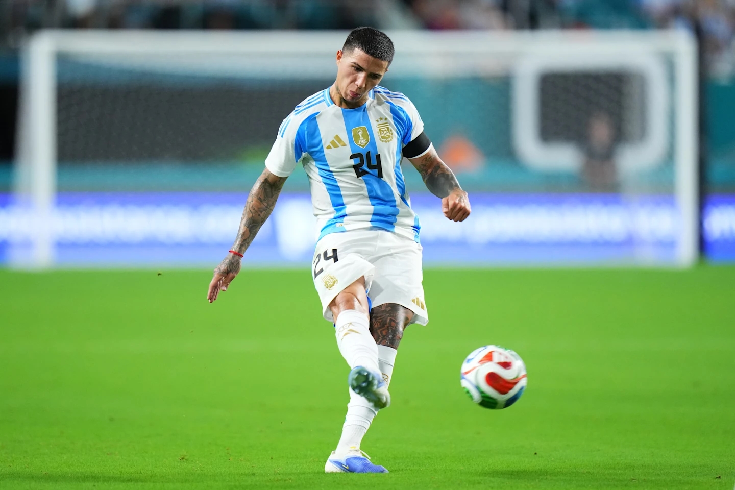 Enzo Fernandez 02