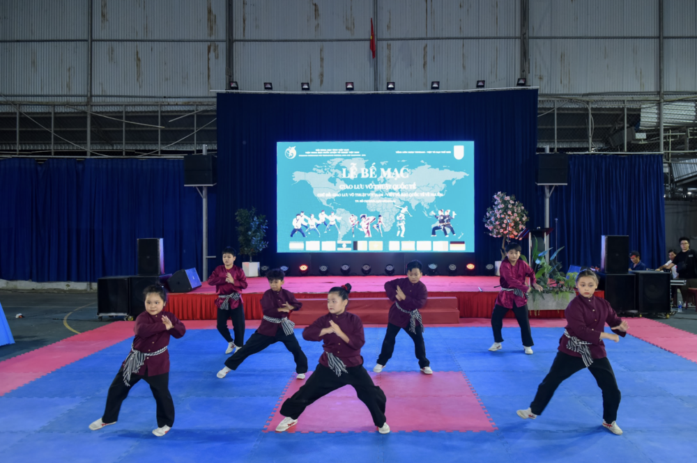 vovinam-10