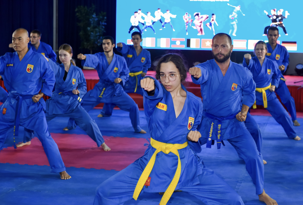 vovinam-9