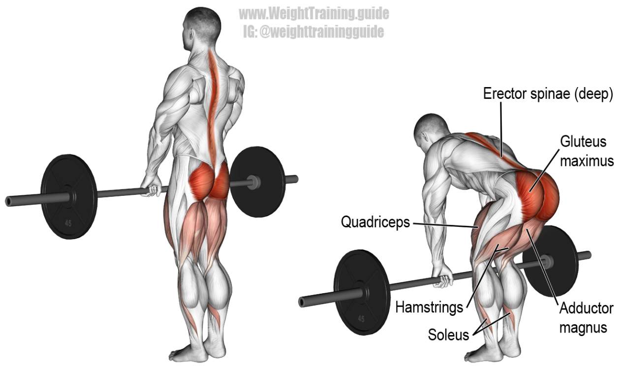 romaniandeadlift
