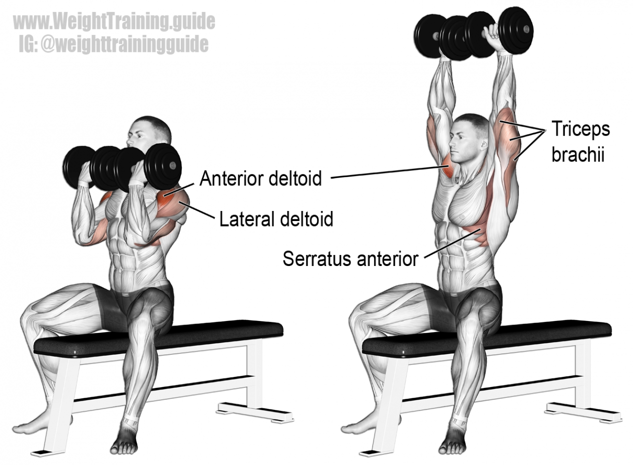 Arnold-press