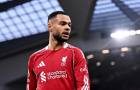Quyết rời Liverpool, Gakpo chọn gia nhập Spurs