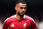 Lý do De Zerbi chọn Cody Gakpo làm bom tấn của Spurs
