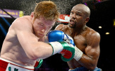 Siêu sao Canelo Alvarez tìm đường phục thù huyền thoại Floyd Mayweather