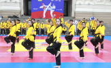 Nhiều hoạt động hấp dẫn dẫn trong Lễ kỷ niệm 20 năm thành lập LĐ Taekwondo Việt Nam