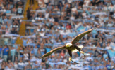 Bị Sampdoria 'chặt chém' không thương tiếc, Lazio đáp lại bằng 4 bàn