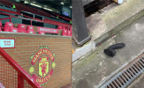 SỐC! CĐV vứt bỏ 'đồ chơi tình dục' ở Old Trafford sau trận thắng West Ham