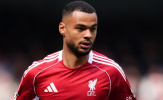 Lý do De Zerbi chọn Cody Gakpo làm bom tấn của Spurs