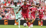 Lý do Roberto De Zerbi muốn đưa Cody Gakpo về Tottenham