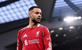 Quyết rời Liverpool, Gakpo chọn gia nhập Spurs