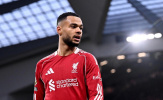 Romano xác nhận Tottenham đang đẩy nhanh vụ mua Gakpo
