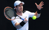 Andy Murray bị nữ dọn phòng vuốt ve