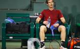 Andy Murray: Tôi không hiểu sao mình thất bại