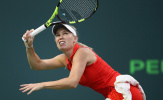 Wozniacki thể hiện phong độ cao
