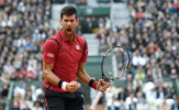 Phân nhánh Roland Garros 2017: Thách thức cực lớn chờ Novak Djokovic