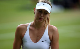 Vận đen chưa tha, Sharapova tuyên bố bỏ hết mùa sân cỏ