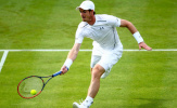 Federer dự đoán Murray sẽ bỏ Wimbledon