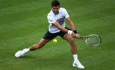 Novak Djokovic cầm vàng liệu có để vàng rơi?