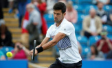 Danh hiệu Aegon International: Cú hích cần thiết cho Djokovic