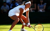 Wimbledon 2017: Đóng cửa sân chính để... bảo vệ cỏ