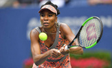 Venus Williams bất ngờ gục ngã ở bán kết