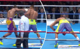 Boxing: Khiến đối thủ nằm giãy sau hai cú đấm