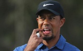 Tiger Woods sẽ 'tạm trú' ở trại cai nghiện rượu trong một năm